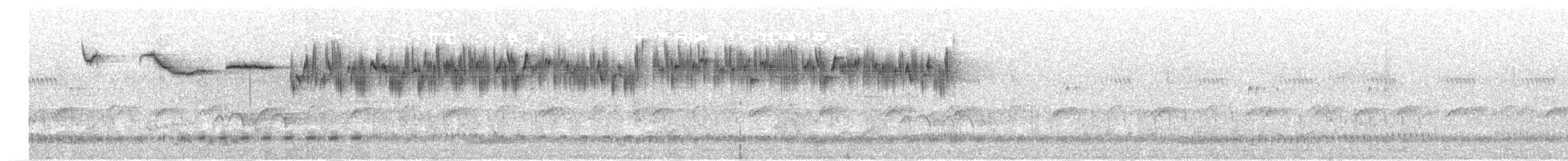 Морогорская нектарница - ML195344781