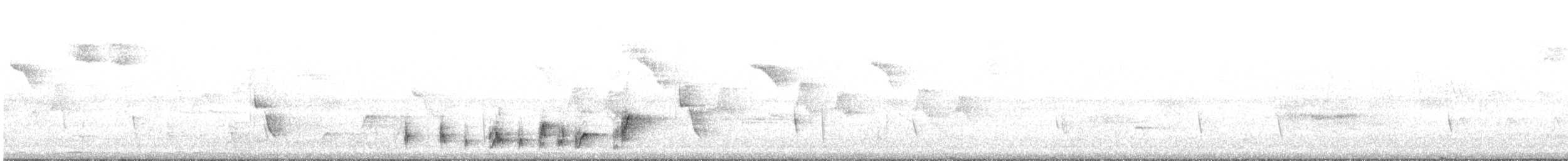 White-browed Bulbul - ML195346841