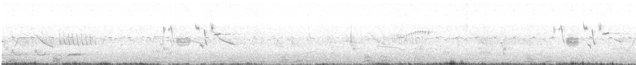 Pipit de Hellmayr - ML195392421