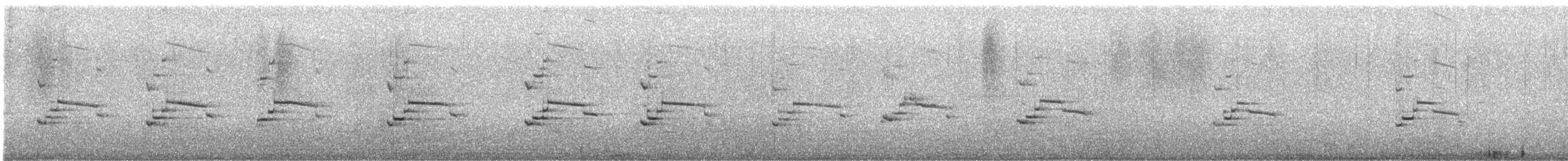 Gaviota Occidental x de Bering (híbrido) - ML195419331