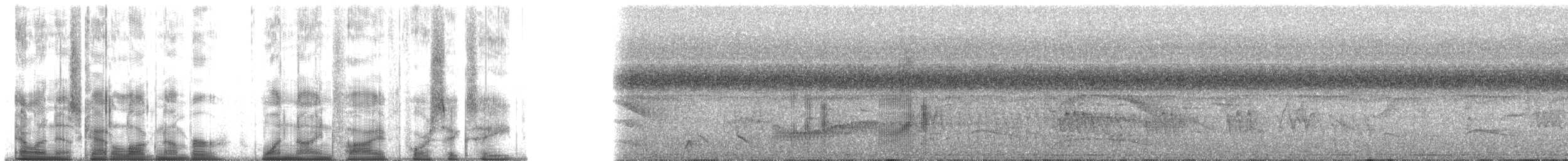 Black-tailed Tityra (Eastern) - ML195468