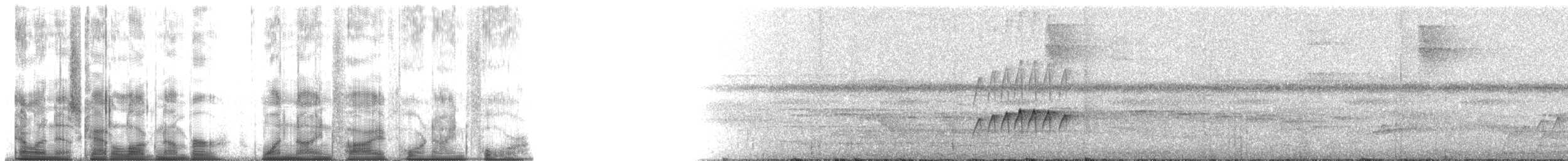 Turuncu Karınlı Manakin - ML195494