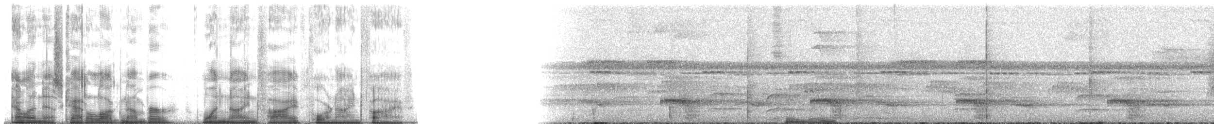 Channel-billed Toucan (Channel-billed) - ML195495