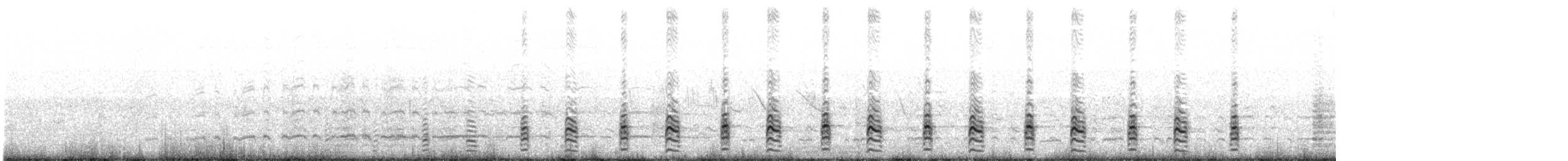 Magellanic Snipe - ML195536951