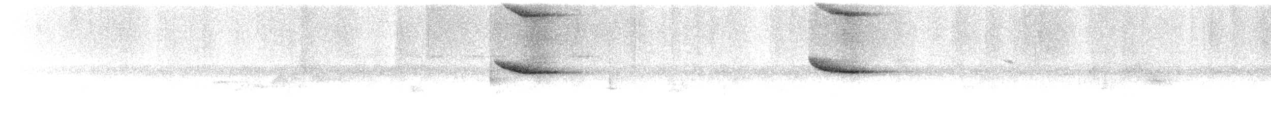 白斑紫嘯鶇 - ML195551781