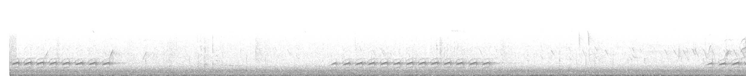 Weißbrustkleiber - ML195552091