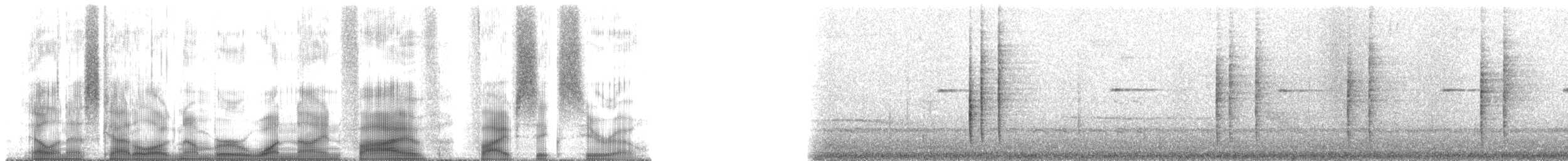 Gray-breasted Wood-Wren (meridana) - ML195560