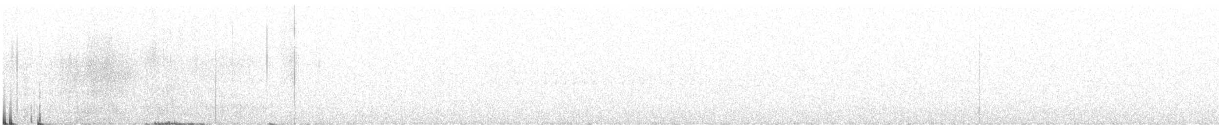 křivka bělokřídlá - ML195586501