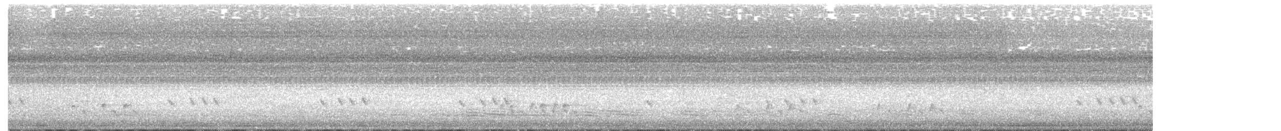 Streifenpanthervogel - ML195643141