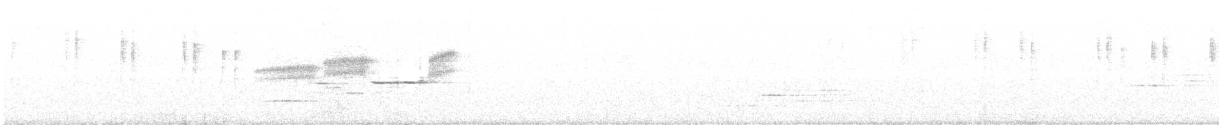 Paruline à gorge noire - ML195662081