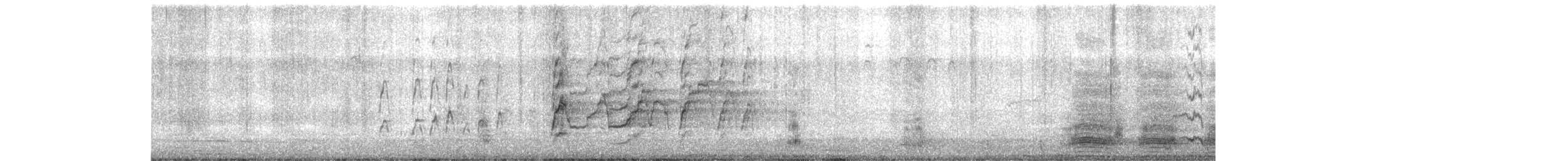 Rotschnabel-Pfeifgans - ML195692761