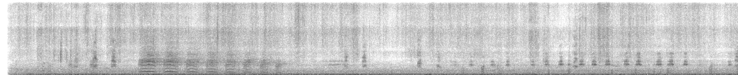 Stockente - ML195692931