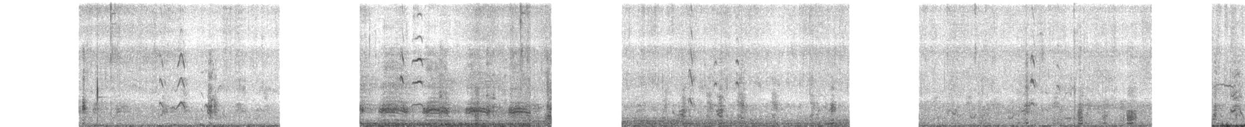 Rotschnabel-Pfeifgans - ML195700501