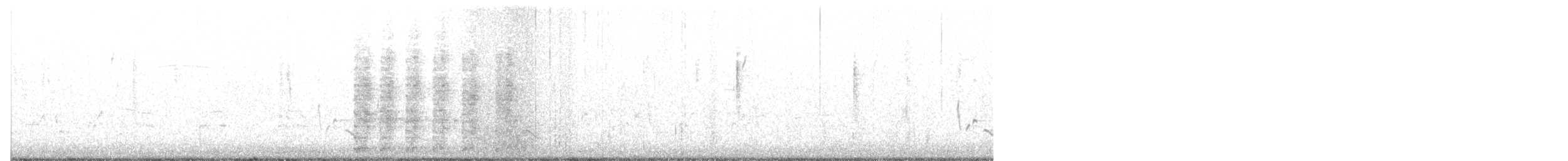 pygmérørdrum - ML195706591