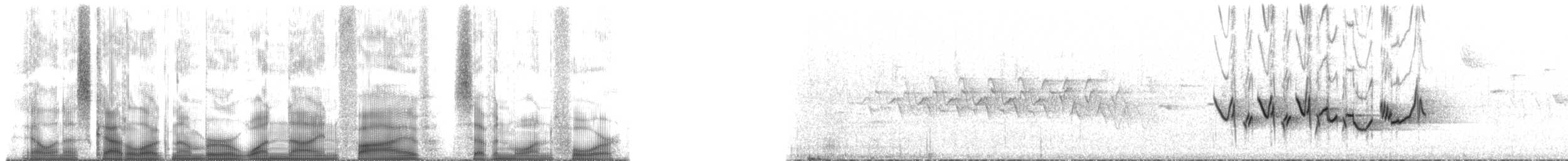 purpurfink (purpureus) - ML195714