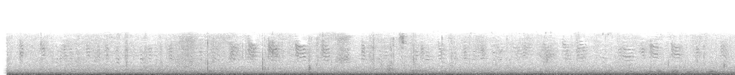 Sittelle à poitrine rousse - ML195716121
