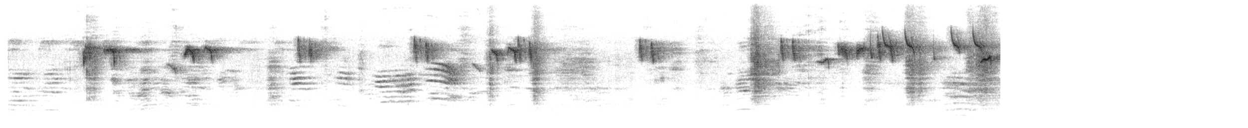 Pygmy Hanging-Parrot - ML195747131