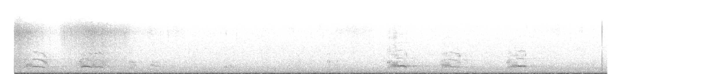 havran polní - ML195825371