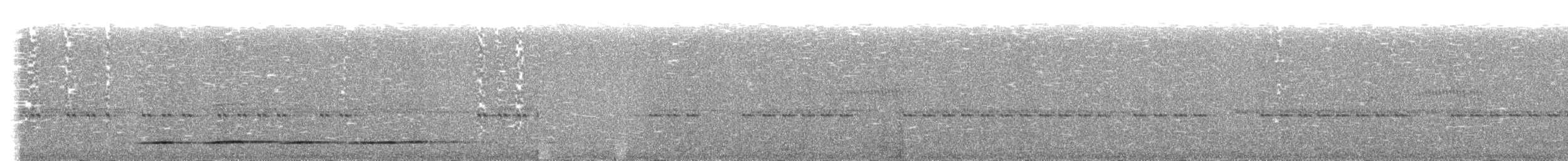Undulated Tinamou - ML195864671