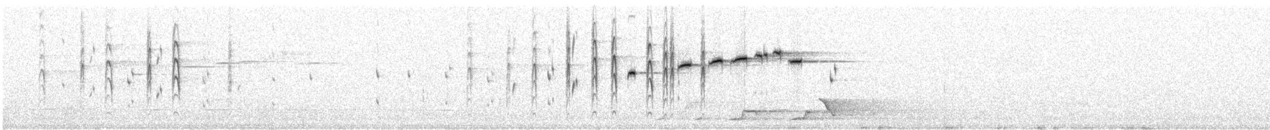 Rhipidure gris (albiscapa) - ML195893271