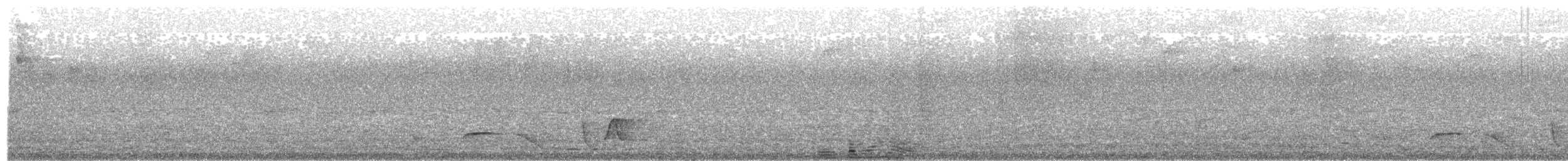 Whiskered Wren - ML195931901