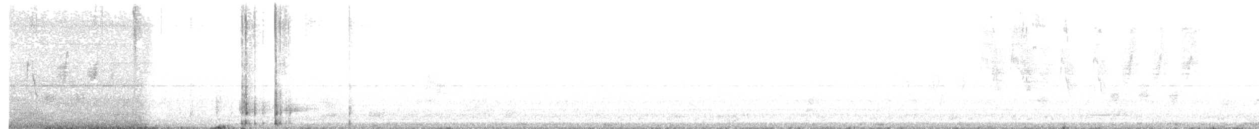 Белая трясогузка - ML195971861