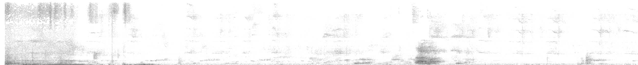 Бородастик цейлонський - ML195972121