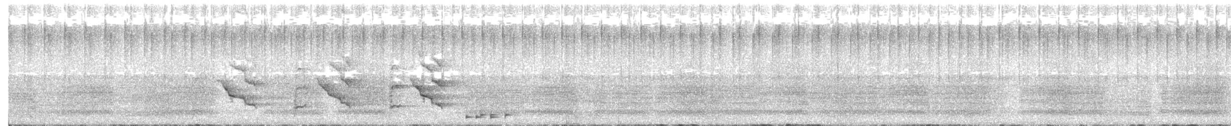 kakadu bělouchý - ML195973861