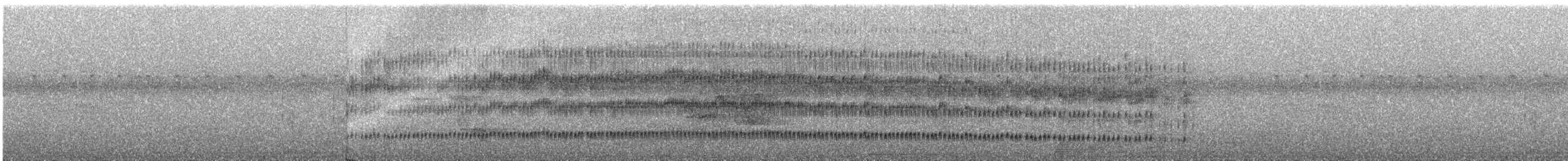 Dünnschnabel-Baumsteiger - ML196101971