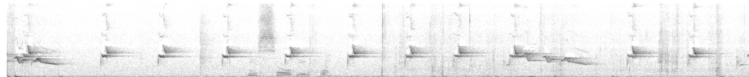 Troglodyte à poitrine blanche - ML196110031