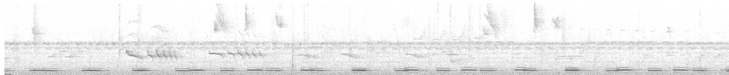 bradáček tukaní - ML196156531