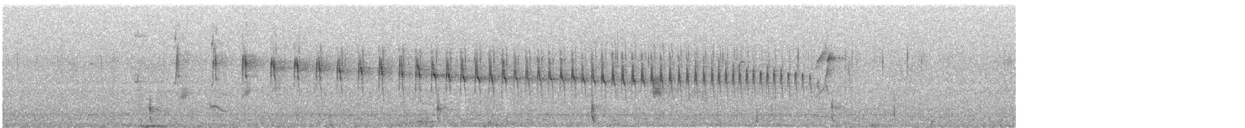 passerine sp. - ML196198521