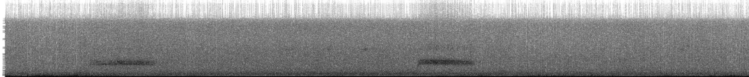 Schleiereule - ML196201131