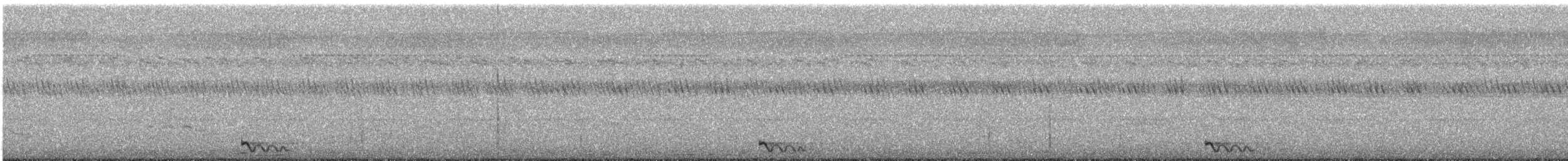 Jerdon's Nightjar - ML196239091