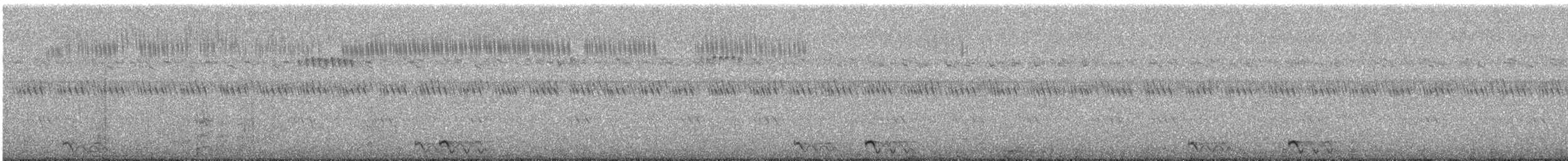 Jerdon's Nightjar - ML196247481