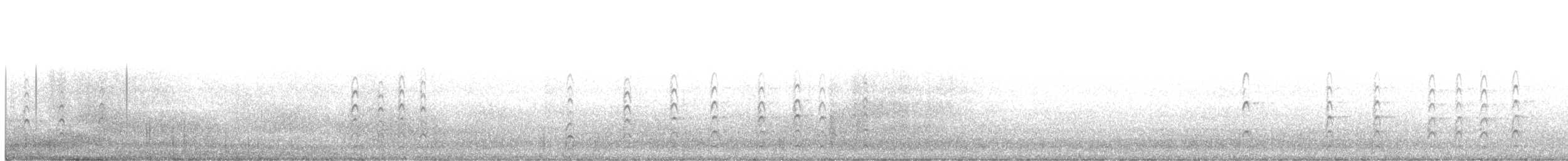 Schwarznacken-Stelzenläufer - ML196274951