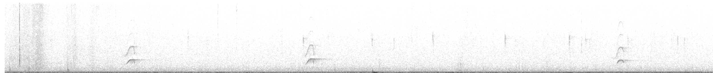 Brown-crested Flycatcher - ML196282971