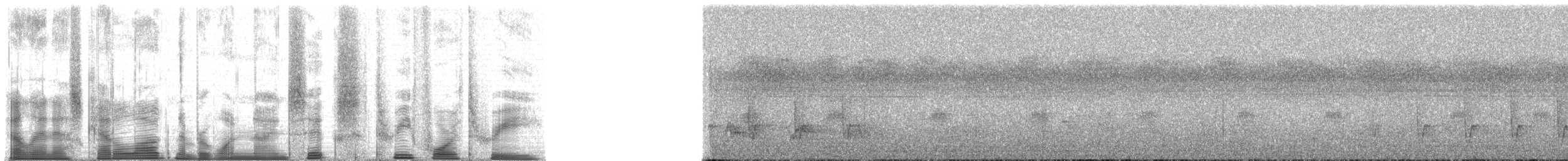 Chimpanzee - ML196343