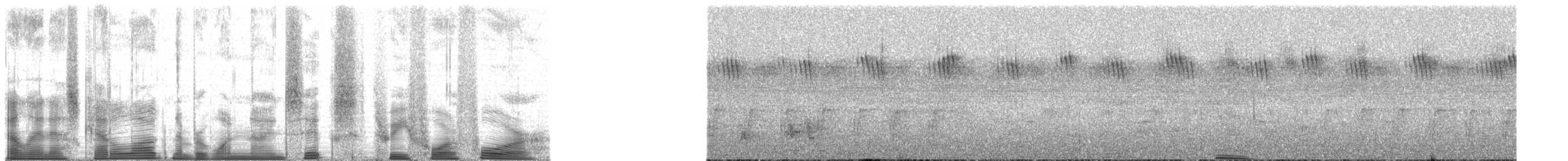 Chimpanzee - ML196344