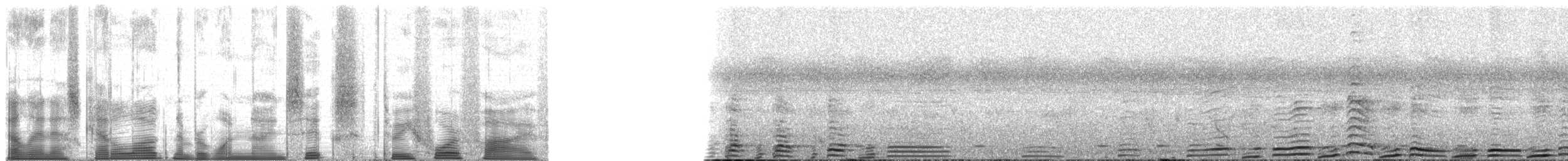 Chimpanzee - ML196345