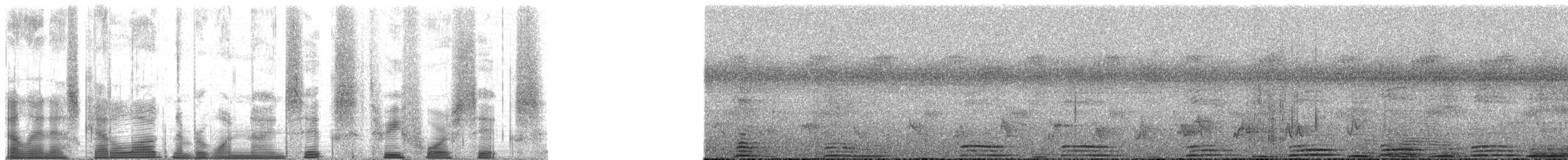 Chimpanzee - ML196346