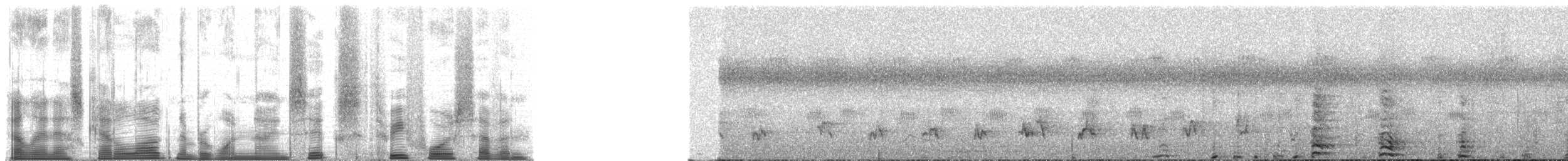 Chimpanzee - ML196347