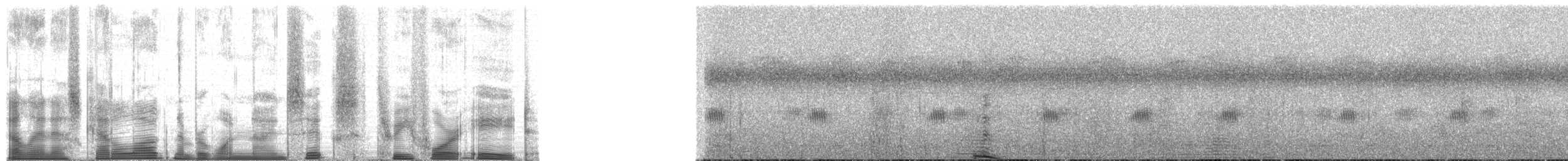 Chimpanzee - ML196348