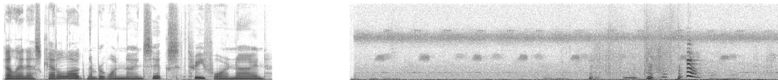 Chimpanzee - ML196349