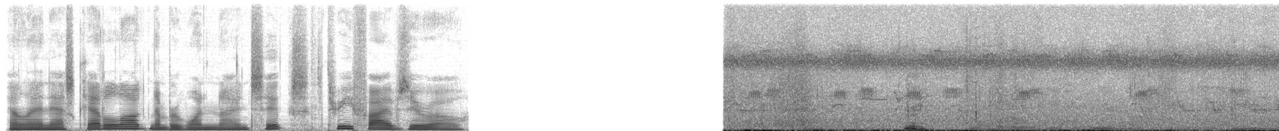 Chimpanzee - ML196350