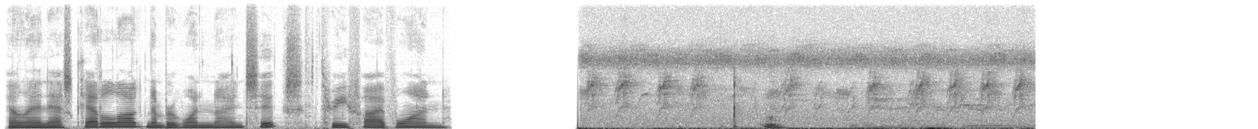 Chimpanzee - ML196351