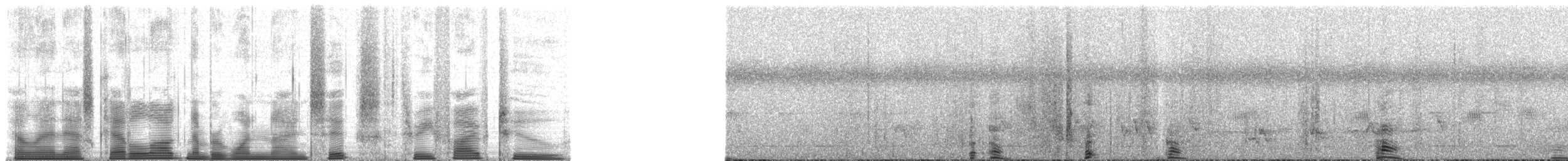 Chimpanzee - ML196352