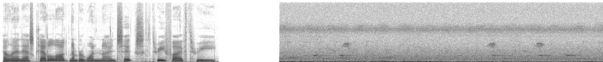 Chimpanzee - ML196353