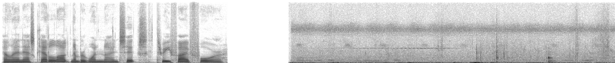 Chimpanzee - ML196354