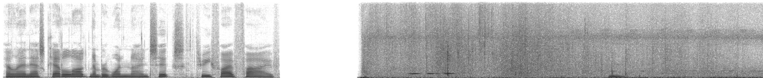 Chimpanzee - ML196355